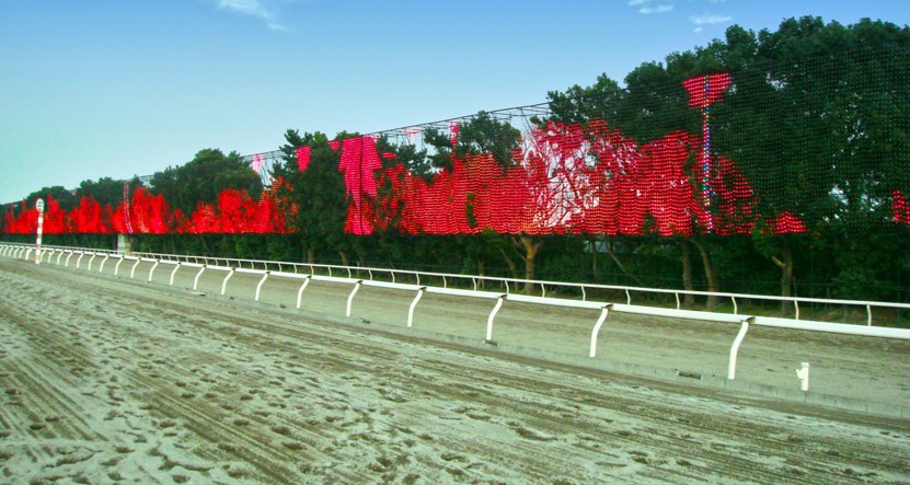 日本东京跑马场