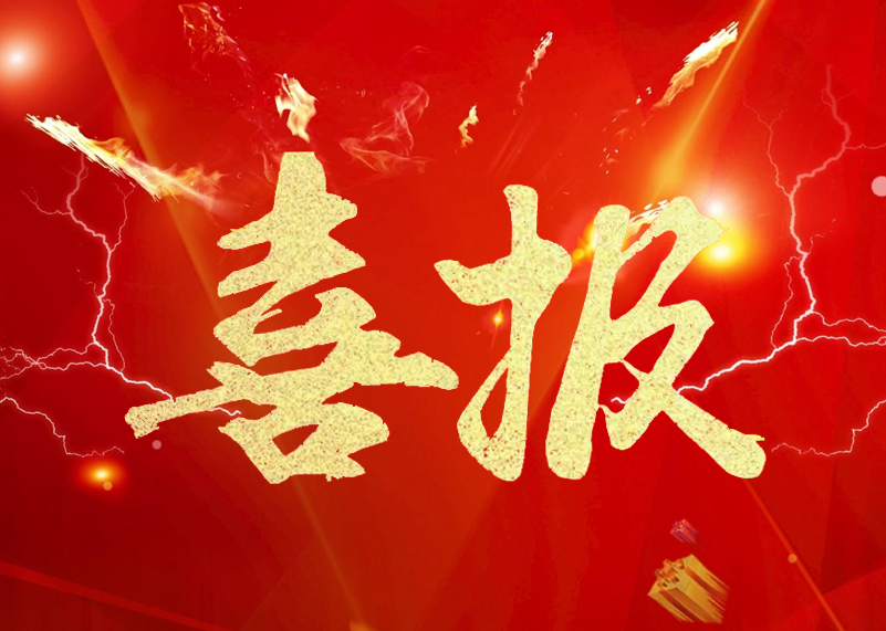 星空电竞显示再获行业殊荣